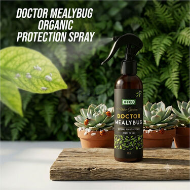 Doctor Mealybug - Organic Protection Spray (PCS2)