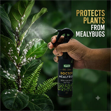 Doctor Mealybug - Organic Protection Spray (PCS2)
