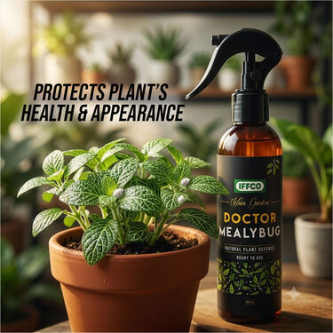 Doctor Mealybug - Organic Protection Spray (PCS2)