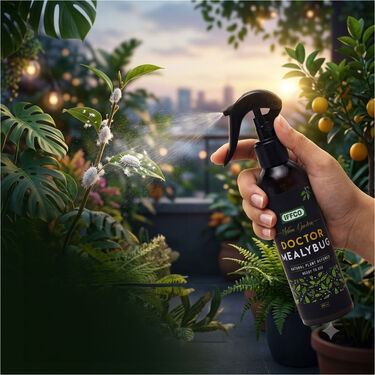 Doctor Mealybug - Organic Protection Spray (PCS2)