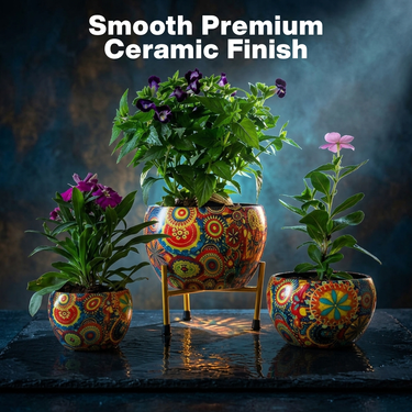 3 Rainbow Bloom Decorative Planters With Stand (3DP1)